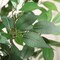 Ficus Artificial Tree 6ft Fake Silk Plant for Home Decor Indoor, Faux Floor Tree in White Imitation Ceramic Planter with Green Fake Moss for Home Office Corner Indoor Decor, Set of 1